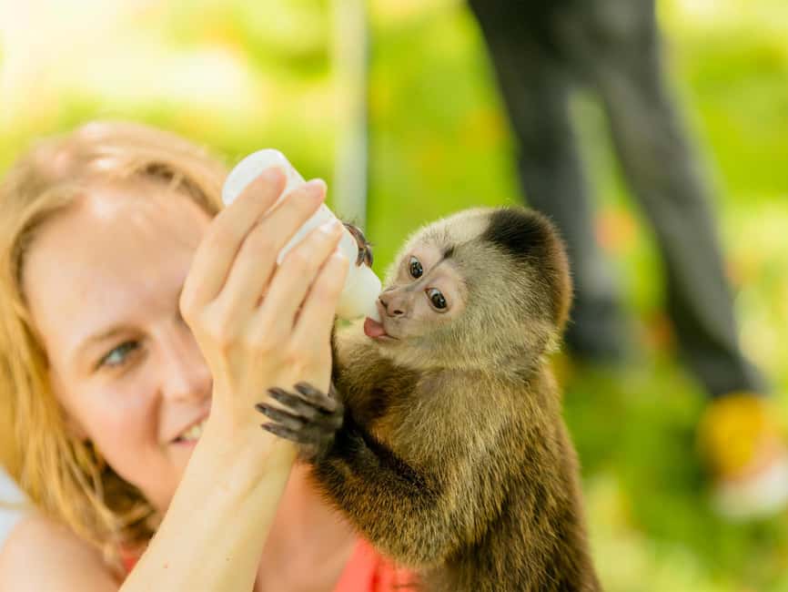 Punta Cana: Monkey Adventure by Jhoraji With Hotel Pick-Up - Is $95 a fair price?