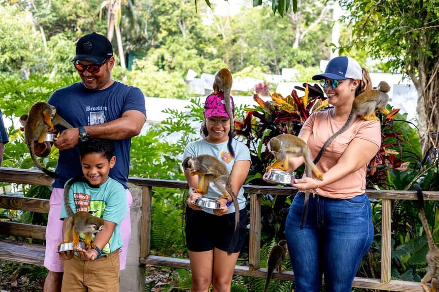 Punta Cana: Monkey Land Half-Day Safari and Plantation - Key Points