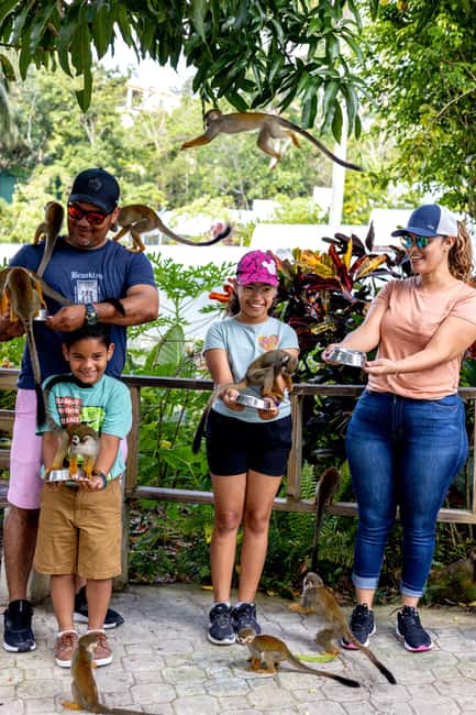 Punta Cana: Monkey Land Half-Day Safari and Plantation - Casa del Coco and the Plantation Visit
