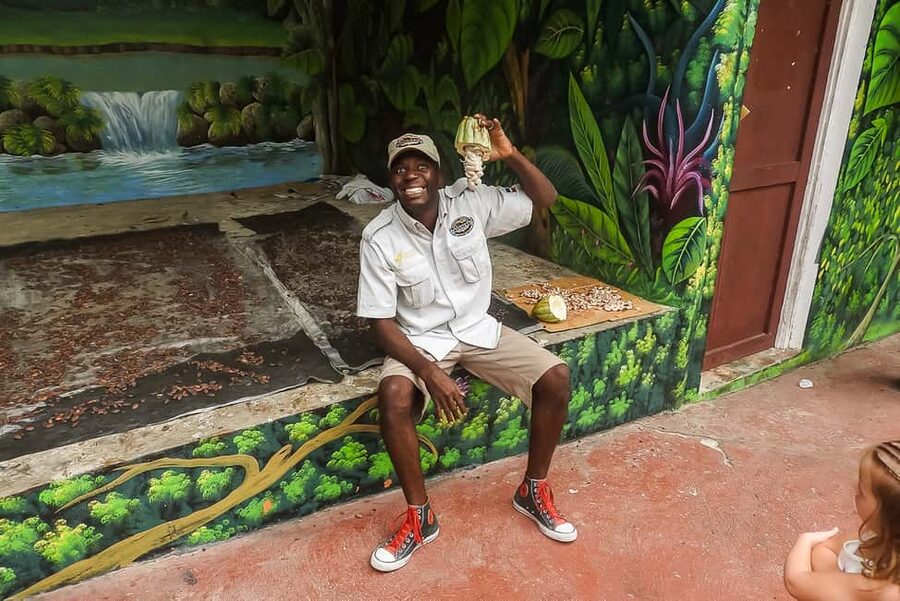 Punta Cana: Monkey Land Half-Day Safari and Plantation - Is $95 a Fair Price?