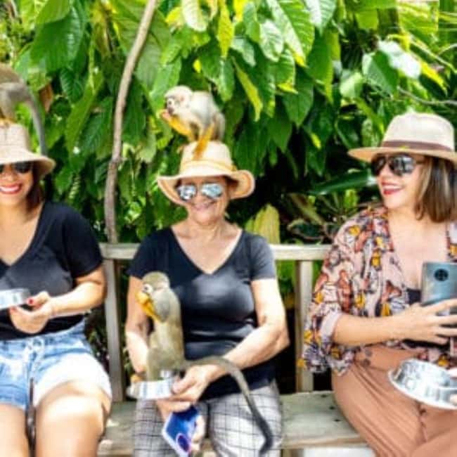 Punta Cana: Monkey Sanctuary Half-Day Tour - Key points to know before you book