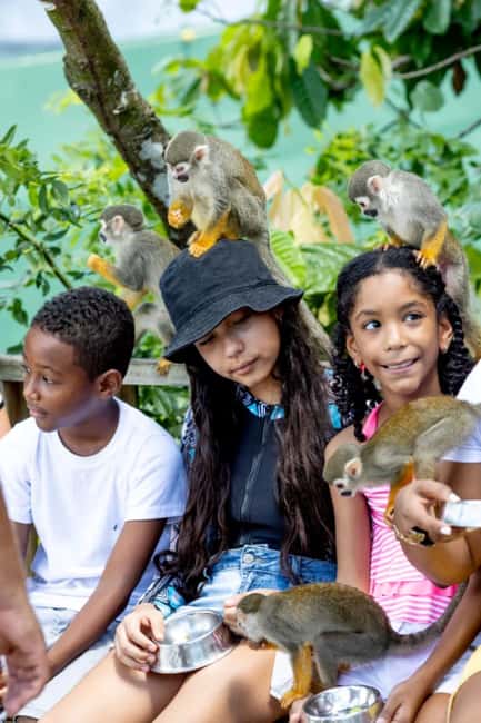 Punta Cana: Monkey Sanctuary Half-Day Tour - The first stop: Dominican coffee, chocolate, and coconut oil