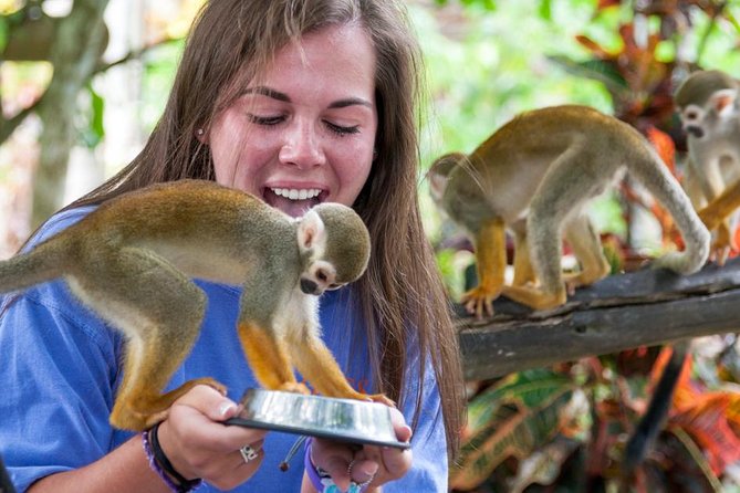 Punta Cana Monkeyland and Zipline Two Adventures in One Day - Guides, safety, and the group experience