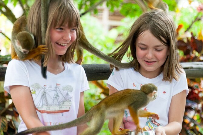 Punta Cana Monkeyland and Zipline Two Adventures in One Day - The 12-cable zipline course