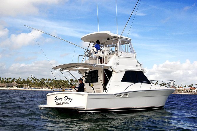 Punta Cana Offshore Deep Sea Fishing Charter - A half-day at sea from Punta Cana