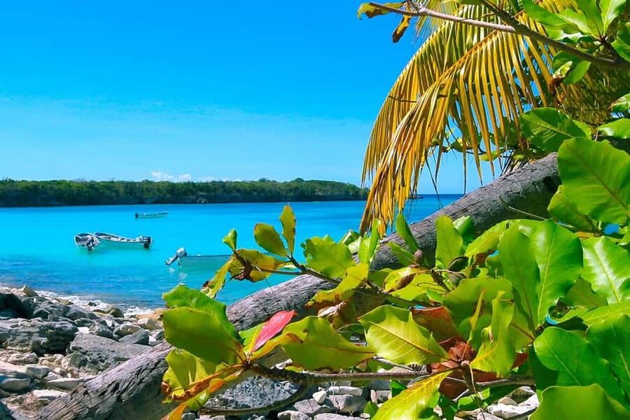 Punta Cana or La Romana: Catalina Island Tour and Snorkeling - Boarding the Catamaran for Catalina Island