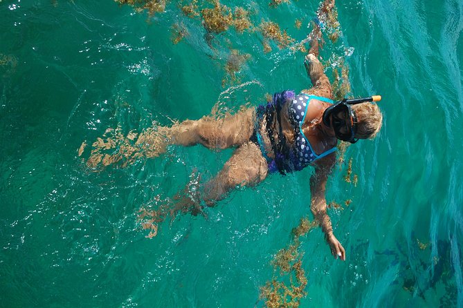 Punta Cana Party Boat:open bar - Drinks, fruit, and the open bar