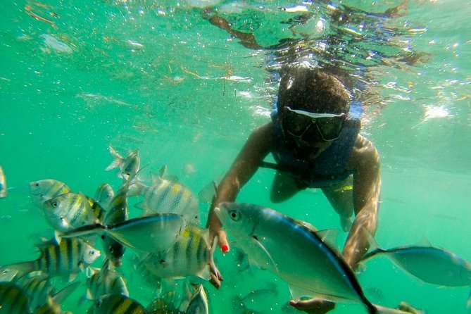 Punta Cana Party Boat Snorkeling with Music DJ and Open Bar - What the $61.38 price really covers