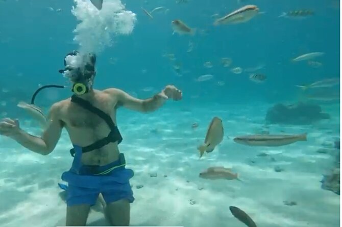 Punta Cana Party Cruise with Snorkeling, Hooka Diving and Parasailing - Snorkeling at the Punta Cana reef