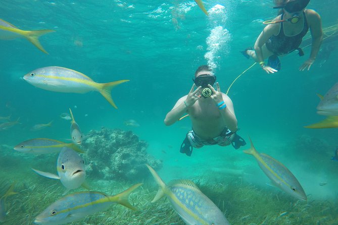 Punta Cana Party Cruise with Snorkeling, Hooka Diving and Parasailing - What the crew does well, and where communication matters
