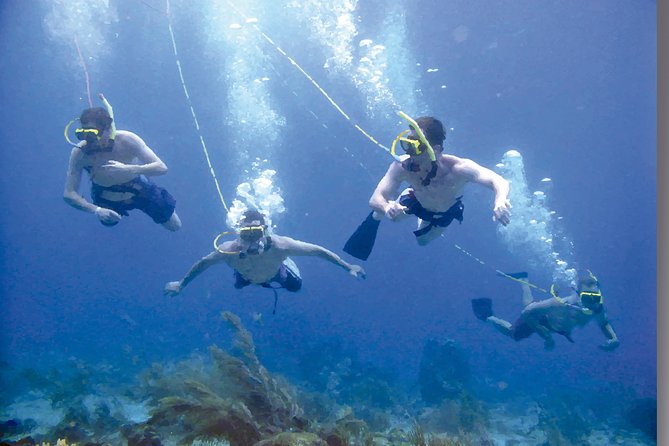 Punta Cana Party Cruise with Snorkeling, Hooka Diving and Parasailing - Who will enjoy this half-day outing