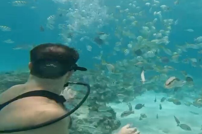 Punta Cana Party Cruise with Snorkeling, Hooka Diving and Parasailing - The catamaran ride and the party atmosphere
