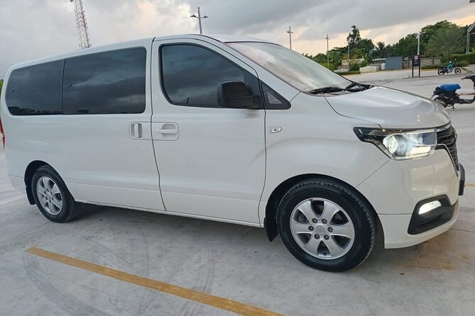 Punta Cana Private Airport Tranfers Service To Hotel - Finding the driver with your name on the banner