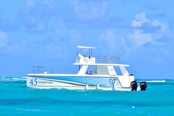 Punta Cana Private Boat Tour with Open Bar and BBQ - Three hours of private time along Punta Cana’s coast