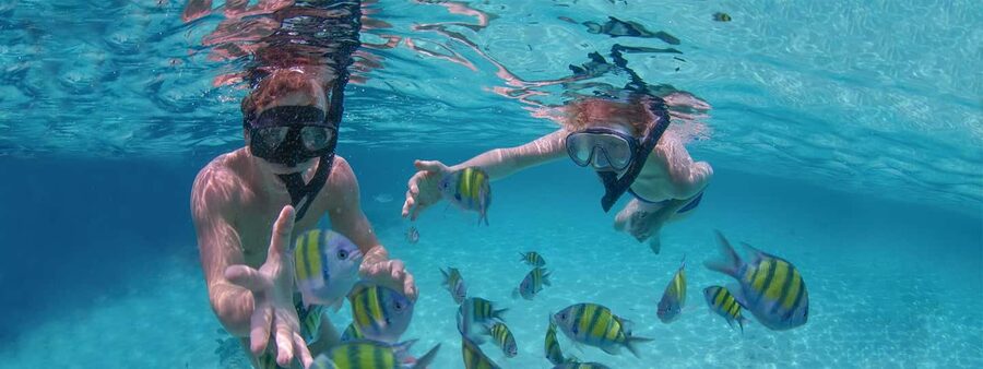 Punta Cana Private Catamaran (Small Group) - Is $650 a good price for your group?