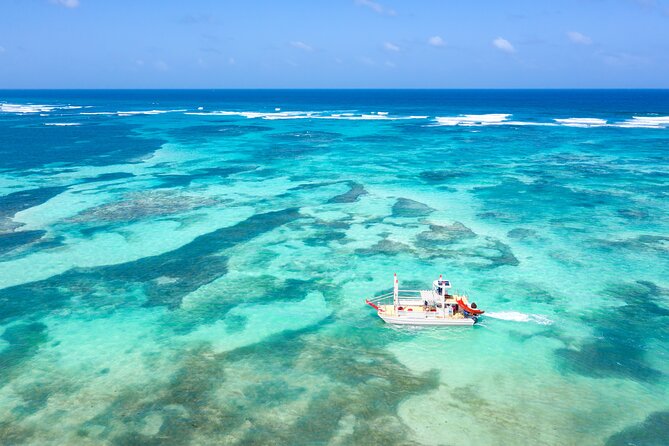 Punta Cana Private Catamaran with Snorkeling, Lunch & Open Bar - BBQ lunch arrives aboard the catamaran