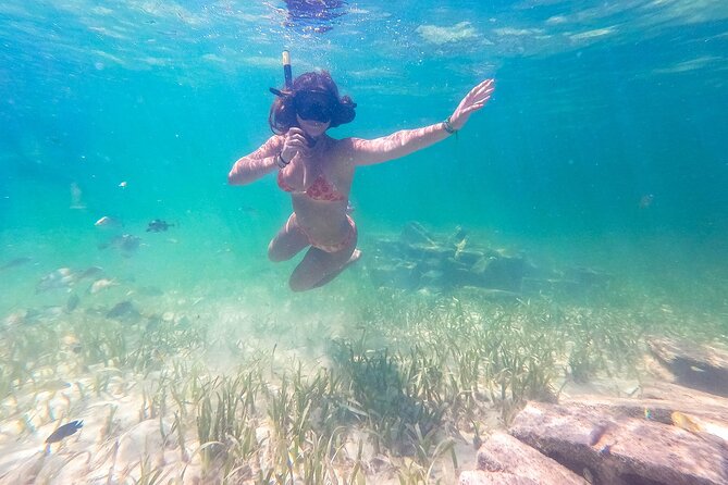 Punta Cana Private Cruise up to 10 people - Snorkeling at the Cabeza de Toro coral nursery