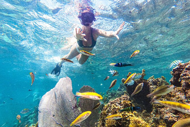 Punta Cana Private Cruise Up To 10 Snorkeling & Seafood lunch - A private catamaran with a full four-hour route