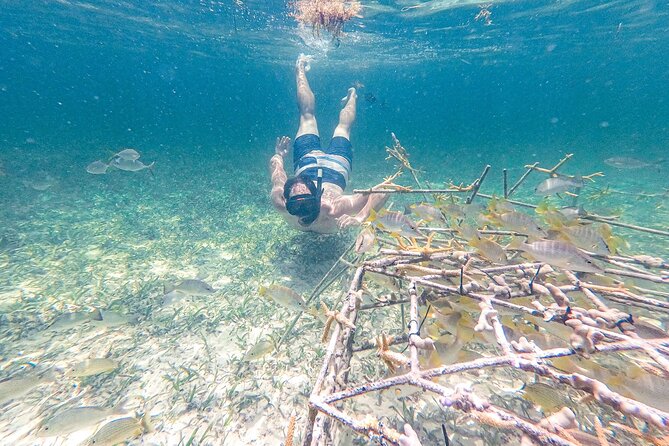 Punta Cana Private Cruise Up To 10 Snorkeling & Seafood lunch - Four-foot natural pools for easy swimming
