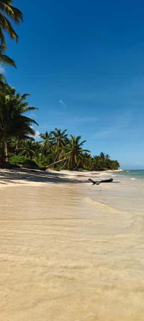 Punta Cana : Private yacht Snorkeling, Lagoon and Wild Beach - Key points at a glance