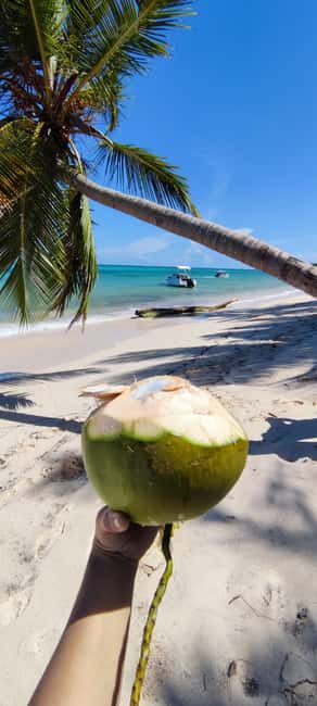 Punta Cana : Private yacht Snorkeling, Lagoon and Wild Beach - Who will get the best value