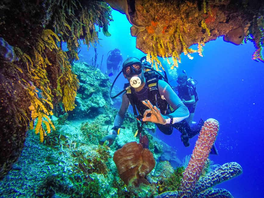Punta Cana: Reef Diving Adventure Explore Underwater Wonders - What the five-hour Punta Cana reef outing is really like