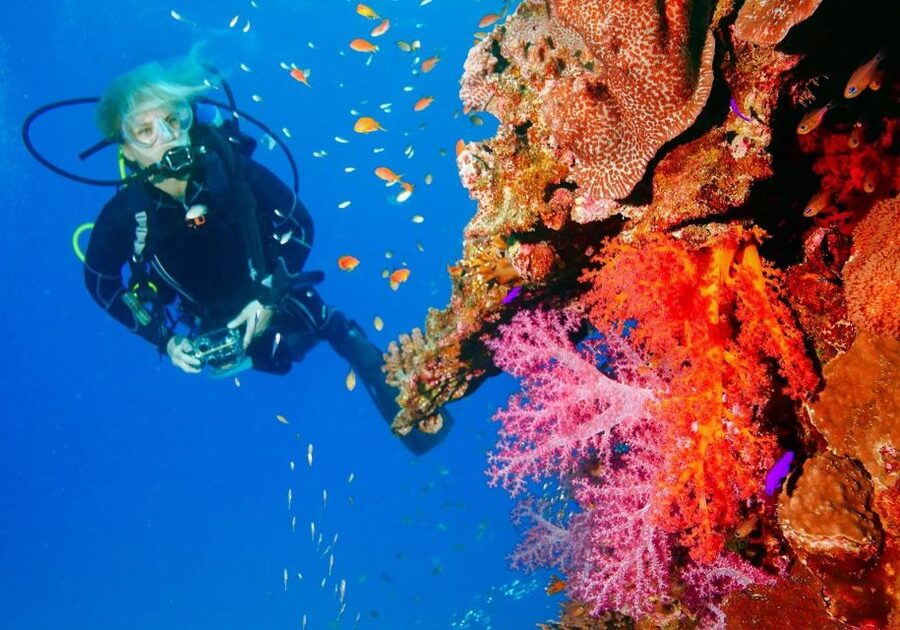 Punta Cana: Reef Diving Adventure Explore Underwater Wonders - Should you book the Punta Cana reef adventure?