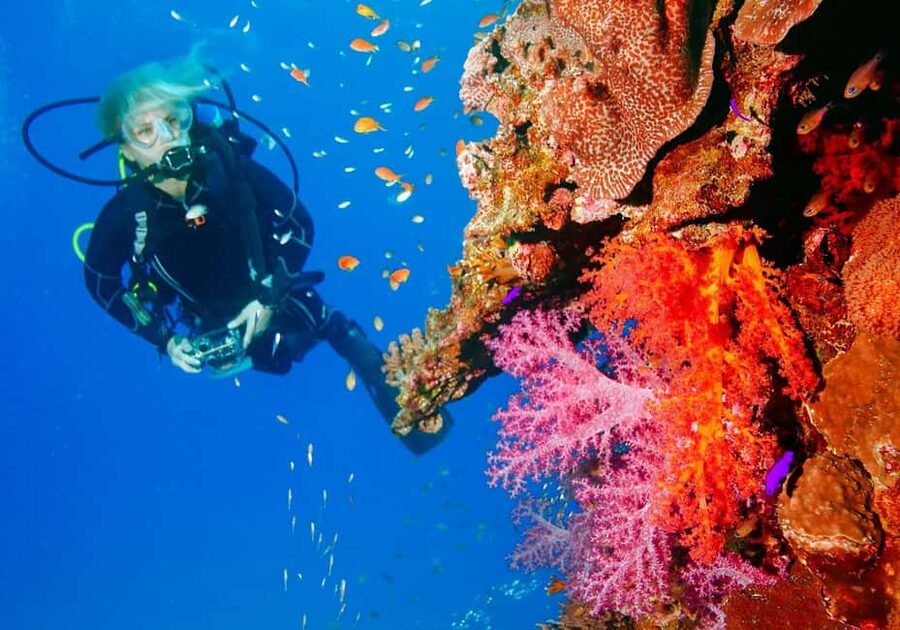 Punta Cana: Reef Diving Adventure Explore Underwater Wonders - How beginners are supported in the water