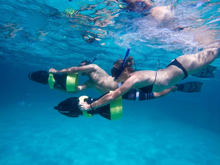 Punta Cana: Reef Explorer Access w/ Sharks & Stingrays Swim - Is $149 a fair price?