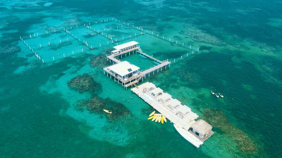 Punta Cana: Reef Explorer Access w/ Sharks & Stingrays Swim - Getting settled with refreshments and a safety briefing