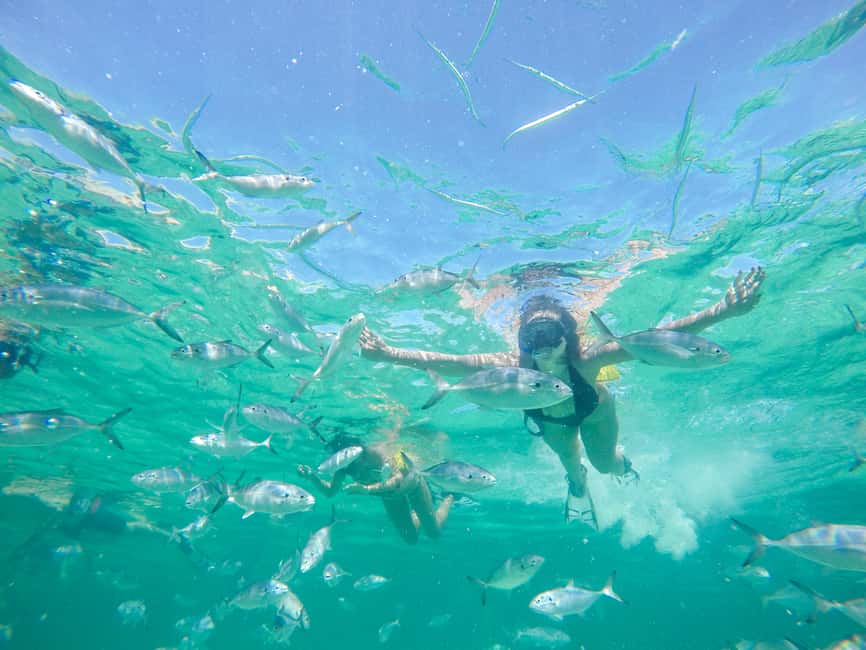 Punta Cana: Reef Explorer Access w/ Sharks & Stingrays Swim - Paddle boards, kayaks, and floating hammocks