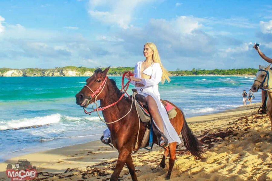 Punta Cana’s Best Sunset Horse Ride - Coffee, Cacao, and Mamajuana Along the Way