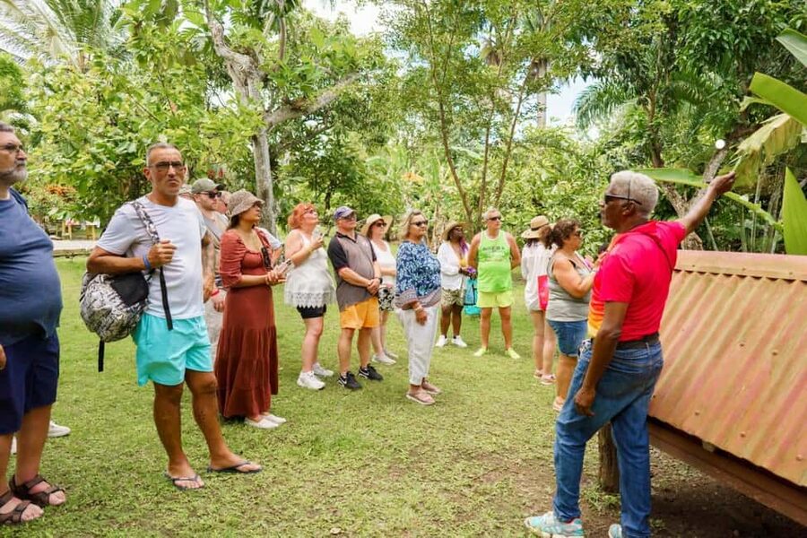 Punta Cana safari experience and historical city tour - Guides, languages, and the group arrangement