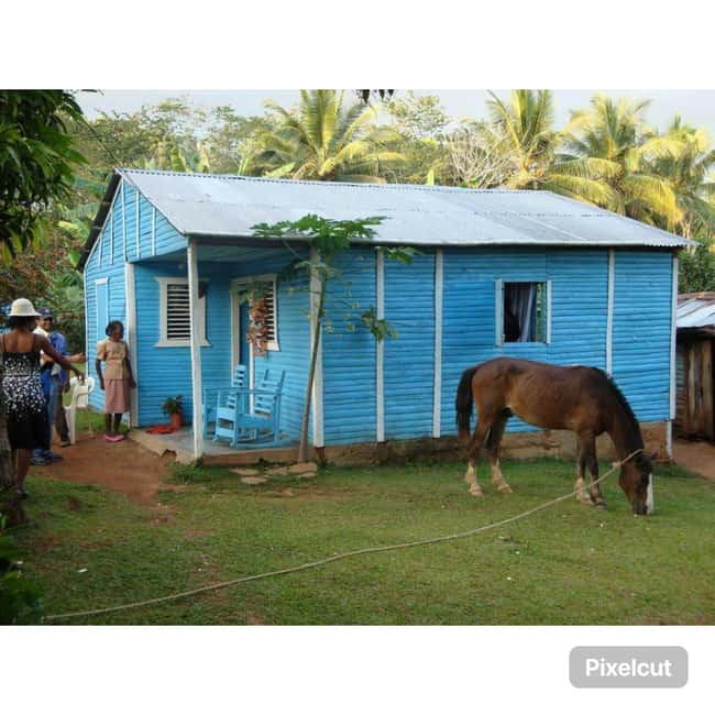 Punta Cana: Samaná Cayo Levantado & El Limón Waterfall Tour - What $99 Really Gets You