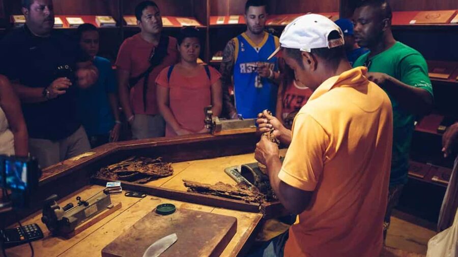 Punta Cana: Samana Full Day Trip Whale Cascada El Limon - Dominican food, drinks, and what is included