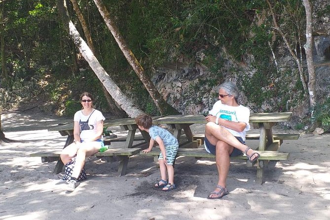 Punta Cana: Samaná, Lemon Falls and Bacardi Island - Why this Samaná day trip is more than a beach escape