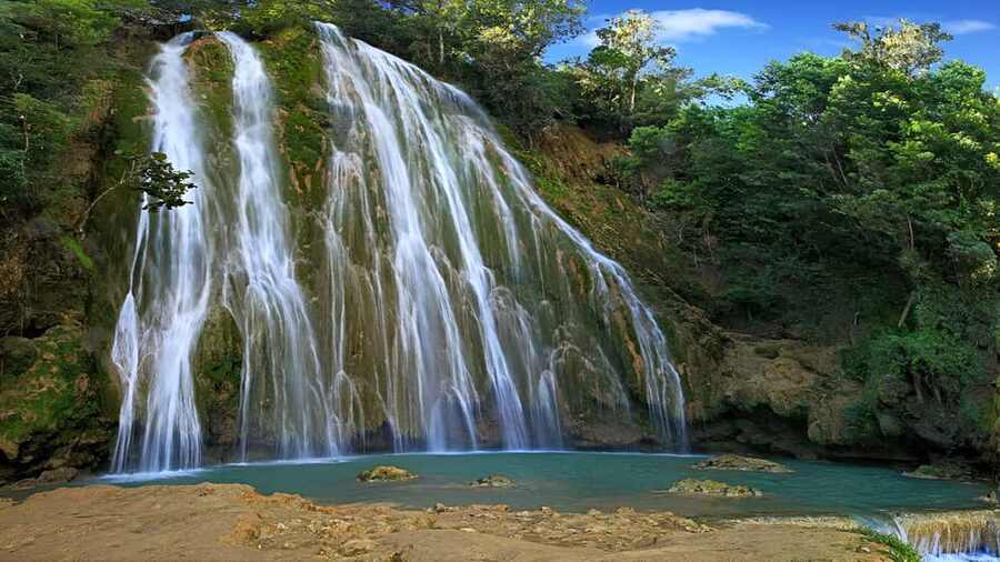 Punta Cana: Samaná Whale Watching, Bacardi & Limon Falls - Whale watching near Samaná from January through March