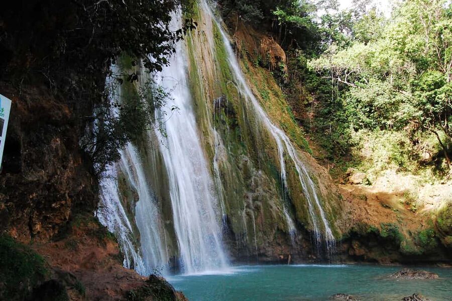 Punta Cana: Samaná Whale Watching, Bacardi & Limon Falls - Guides, languages, and support