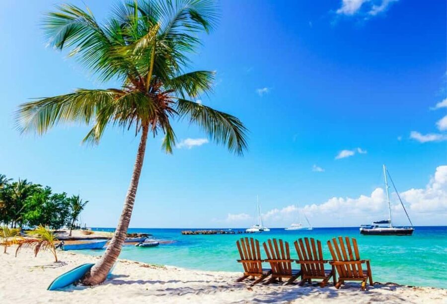 Punta Cana - Santo Domingo: Saona Island VIP Catamaran Tour - Why Saona Island makes this a big day