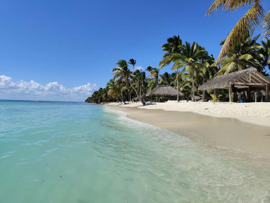 Punta Cana - Santo Domingo: Saona Island VIP Catamaran Tour - The natural pool and its starfish