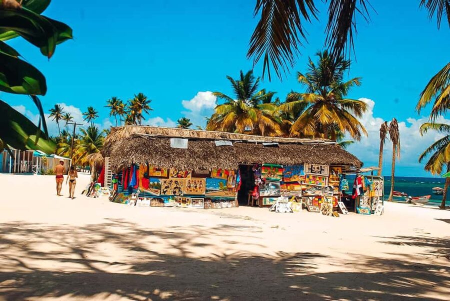 Punta Cana: Saona Crusoe VIP - Mangroves and the meaning of coastal protection