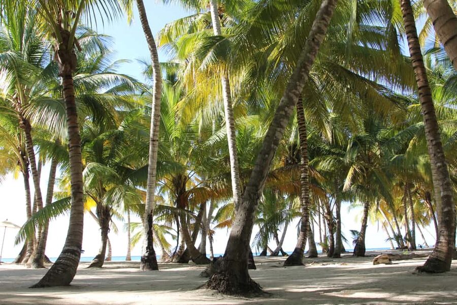 Punta Cana: Saona Island and Altos de Chavón Day Trip - Bayahíbe Beach is a short transition stop