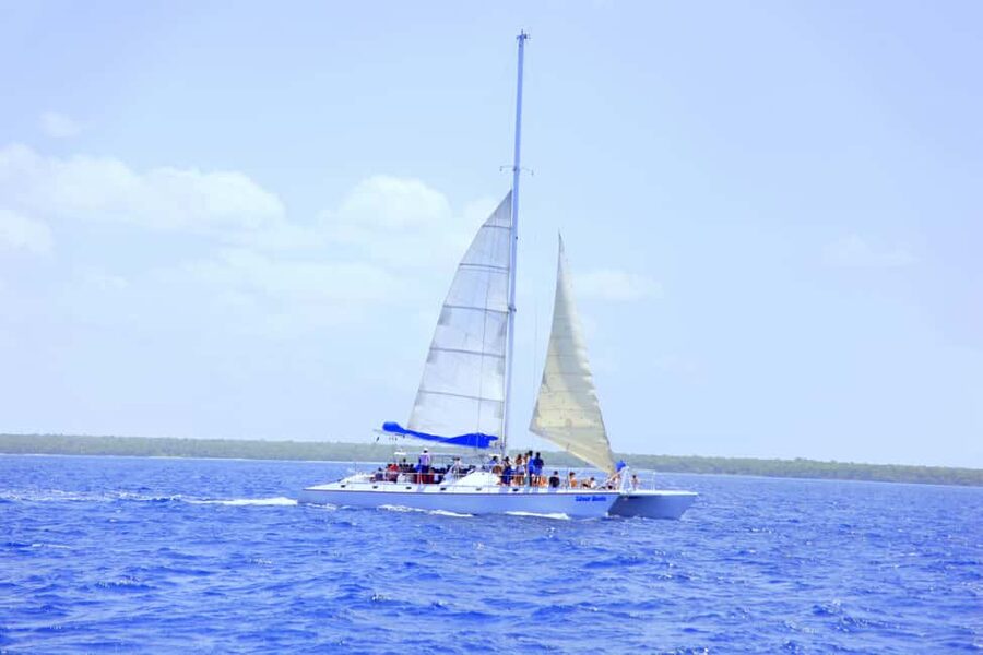 Punta Cana: Saona Island and Altos de Chavón Day Trip - The natural pool brings the first real water break