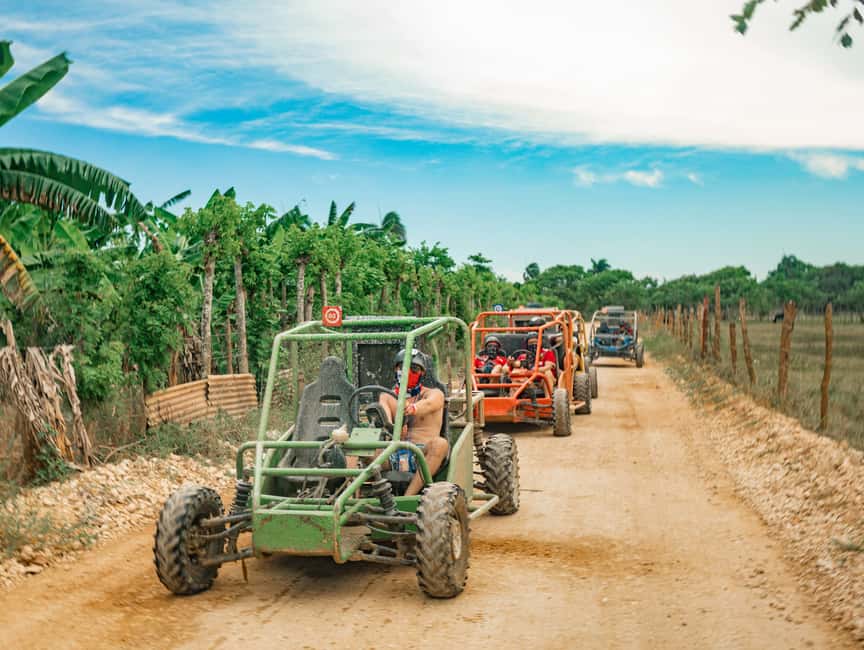 Punta Cana: Saona Island and Buggy Combo - A buffet lunch and a simple open bar