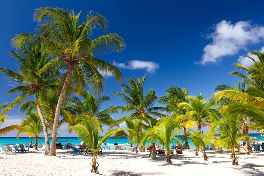 Punta Cana: Saona Island Catamaran Adventure with Lunch - Saona Island begins with a long Punta Cana morning