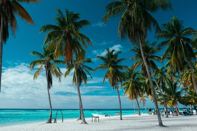 Punta Cana: Saona Island Catamaran Open Bar / Food Hotel Pickup - Communication and organization need attention