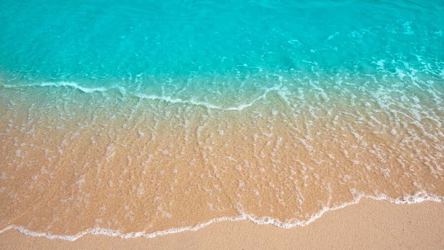 Punta Cana: Saona Island Catamaran Tour with Food & Open Bar - Saona Island beach time and what you can do