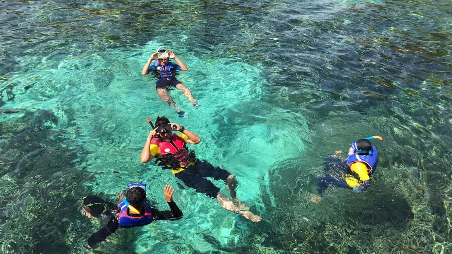 Punta Cana: Saona Island Catamaran Tour with Food & Open Bar - Who will enjoy this Saona excursion most?
