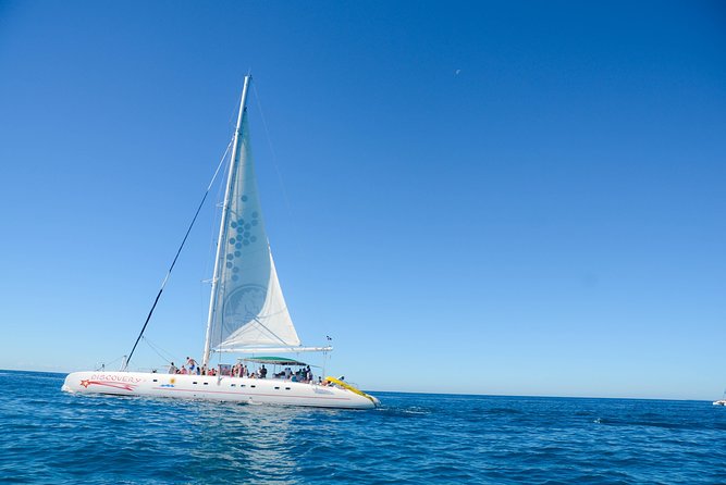 Punta Cana : Saona Island Day Tour - Key points to know before you book