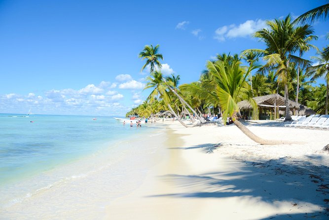 Punta Cana : Saona Island Day Tour - Lunch, open bar, and the social side of the outing